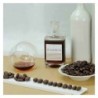 Dom├▓rum Cacao Criollo Brandy