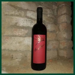 Bric Rajà - Vino varietale Cabernet