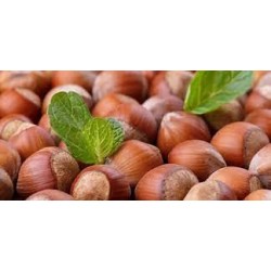 Crème aux noisettes du Piémont et cacao 30 g et 180 g