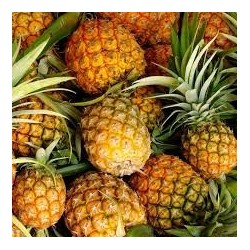 Nettare di Ananas