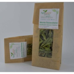 Stevia Rebaudiana