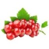 Sciroppo di Ribes rosso BIO
