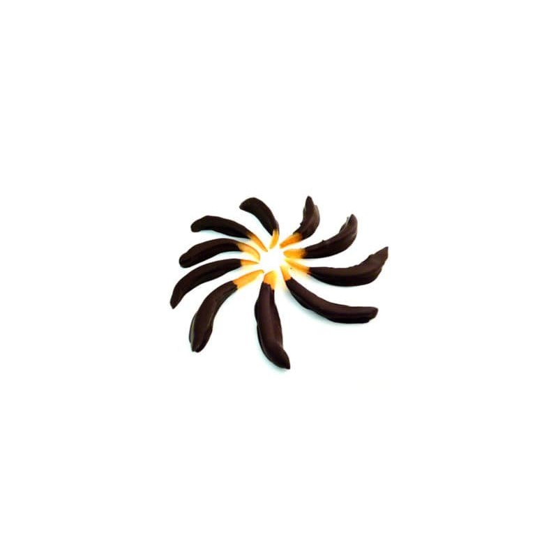 Filetti di arancio ricoperti con cioccolato fondente 