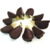 Pera candita ricoperta con cioccolato fondente