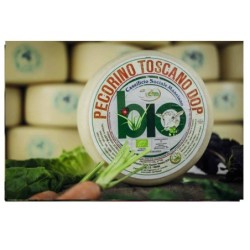 Pecorino Toscano D.O.P. Biologico