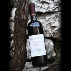 Trentino D.O.C. Merlot