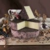 Formaggio Ubriaco Sot la Trape