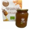 BIO eucalyptus honey