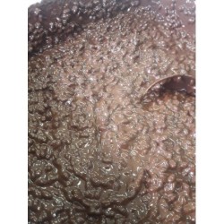 Cioccoriso al cioccolato al latte e riso soffiato