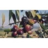 Set degustazione Olive