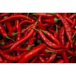 Condimento Arrabbiata in Olio Extravergine
