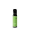 Condimento Genovese in Olio Extravergine