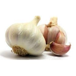 Condimento Genovese in Olio Extravergine