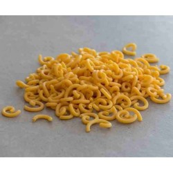 pasta gramigna