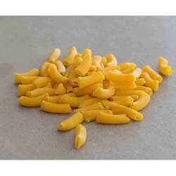 Rigatoni