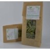 Stevia Rebaudiana | Foodaloo