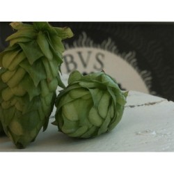 Birra Pratomagno Strong Ale