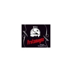 Birra Pratomagno Strong Ale