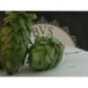 Birra Pratomagno Strong Ale