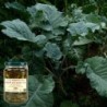 Organic Beans with black cabbage