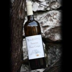 Trentino D.O.C. Pinot grigio