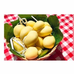 Scamorza