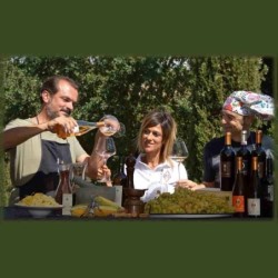 Colmo di cielo Rosato Igt Toscana biologico