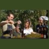 Vinsanto del Chianti “Dedicato alla Gioia 2012”