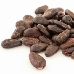 Roasted cocoa beans