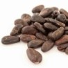 Roasted cocoa beans
