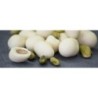Dragées al Pistacchio Cioccolato Bianco Polvere d'Arancia