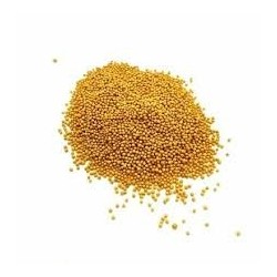 Condimento Marinara in Olio Extravergine