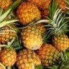 Nettare di Ananas