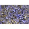 Zafferanetto - Saffron threads from Villaretto