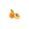 MarillenkonfitÃ¼re - Organic Apricot Jam - 245 g