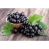 Dreifruchtkonfitüre - Confettura ai tre frutti BIO - 245 g