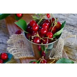 Extra Sour Cherry Jam 225 g