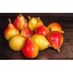Extra Angelica Pear Jam 225g