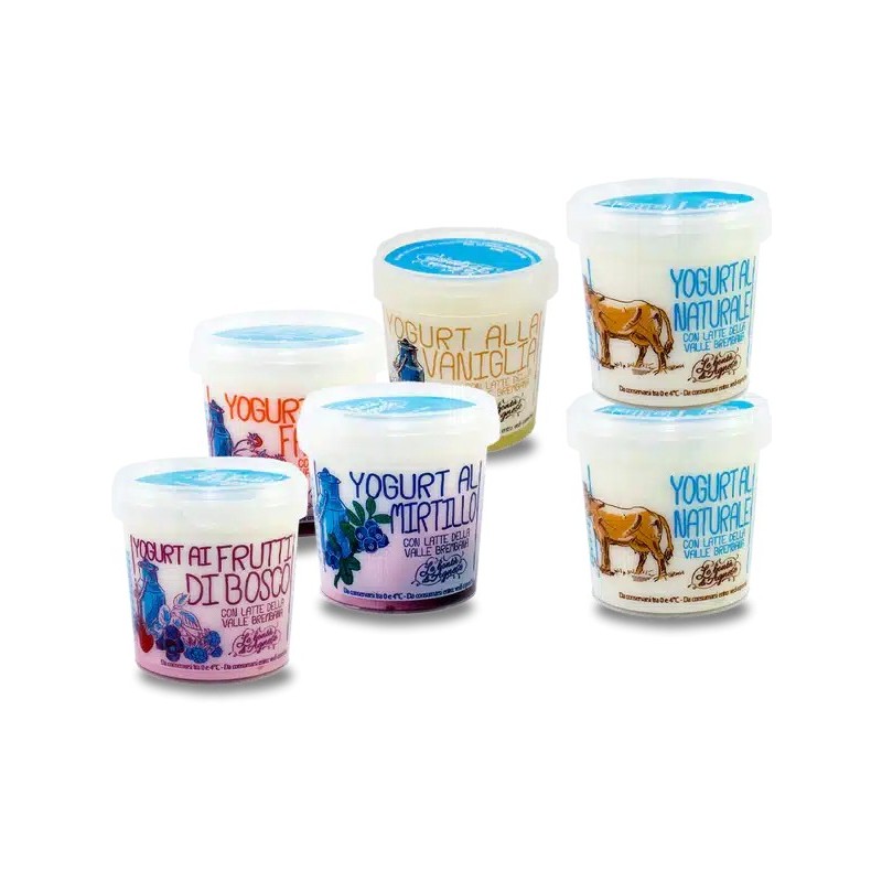 Mountain Yogurt
