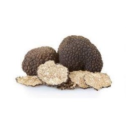 Risotto à la Truffe