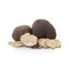 Risotto à la Truffe