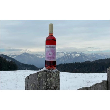 Vigneti delle Dolomiti IGT Rosato