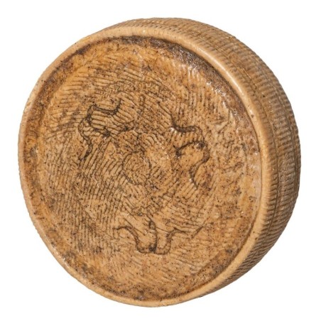 Pecorino bagnolese aged 72 months