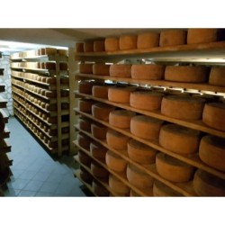 Pecorino bagnolese aged 72 months