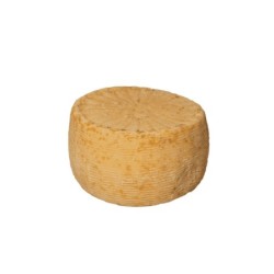 Pecorino bagnolese aged 6 months