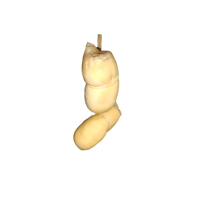 scamorza