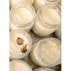 Crema al Tartufo