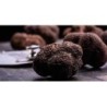 Pesto di Nocciole al Tartufo