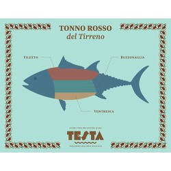 Ventresca Tonno Rosso in olio girasole bio