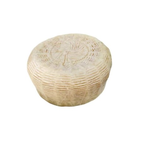Goat Cheese 1-3 months